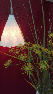 lampe